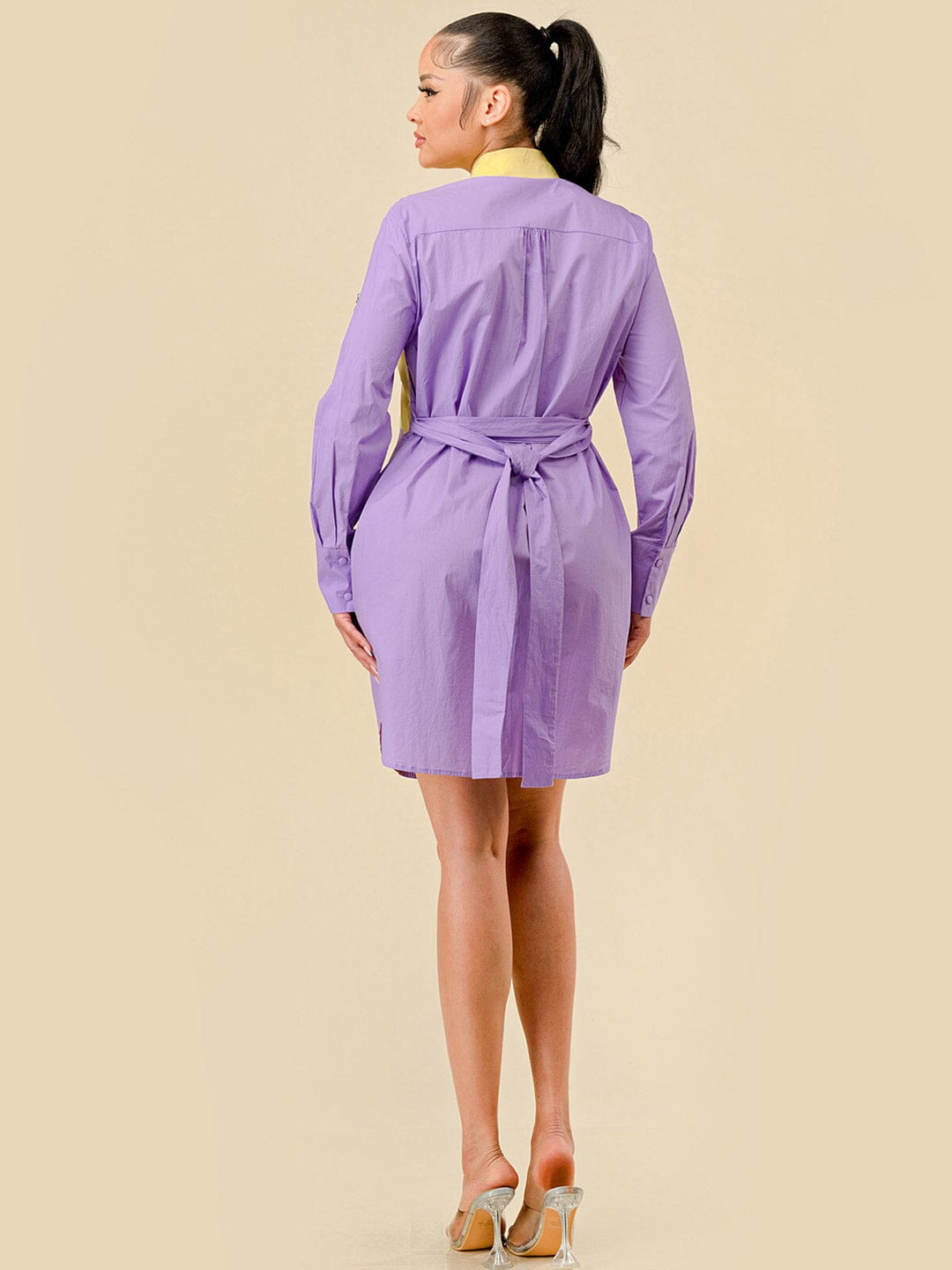 WOMEN'S LONG SLEEVES BUTTON UP STUDS DETAILED COLORBLOCK MINI DRESS