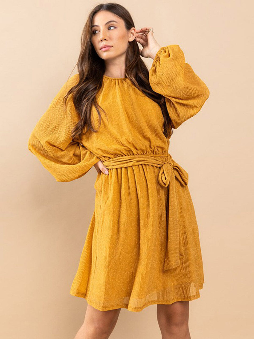 WOMEN'S LONG SLEEVE SELF TIE SHIMMER MINI DRESS