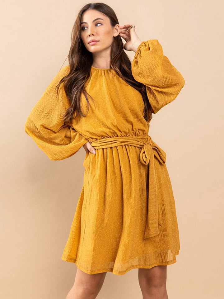 WOMEN'S LONG SLEEVE SELF TIE SHIMMER MINI DRESS