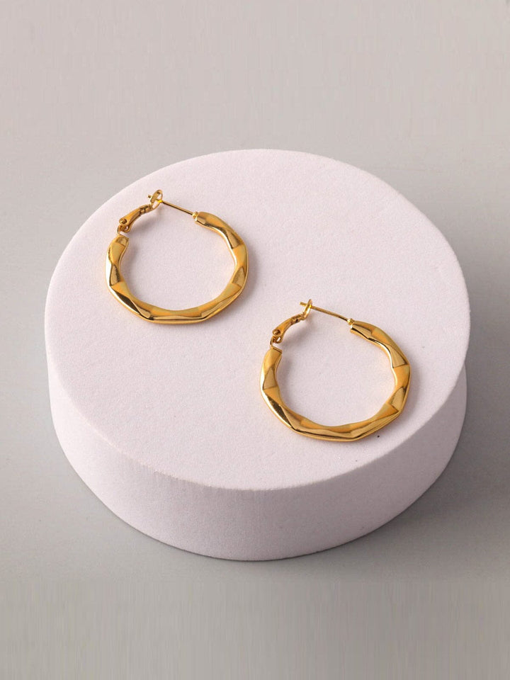 FASHION STAINLESS STEEL HOOPS EARRINGS