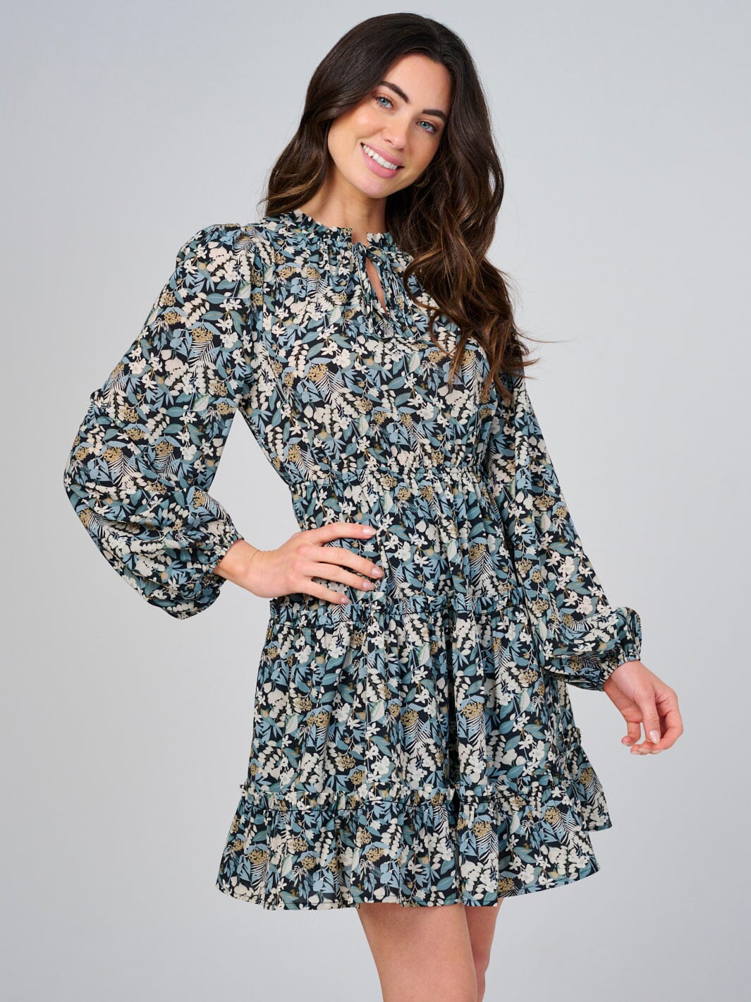 WOMEN'S LONG SLEEVE ELASTIC WAIST V-NECK FLORAL TIERED MINI DRESS