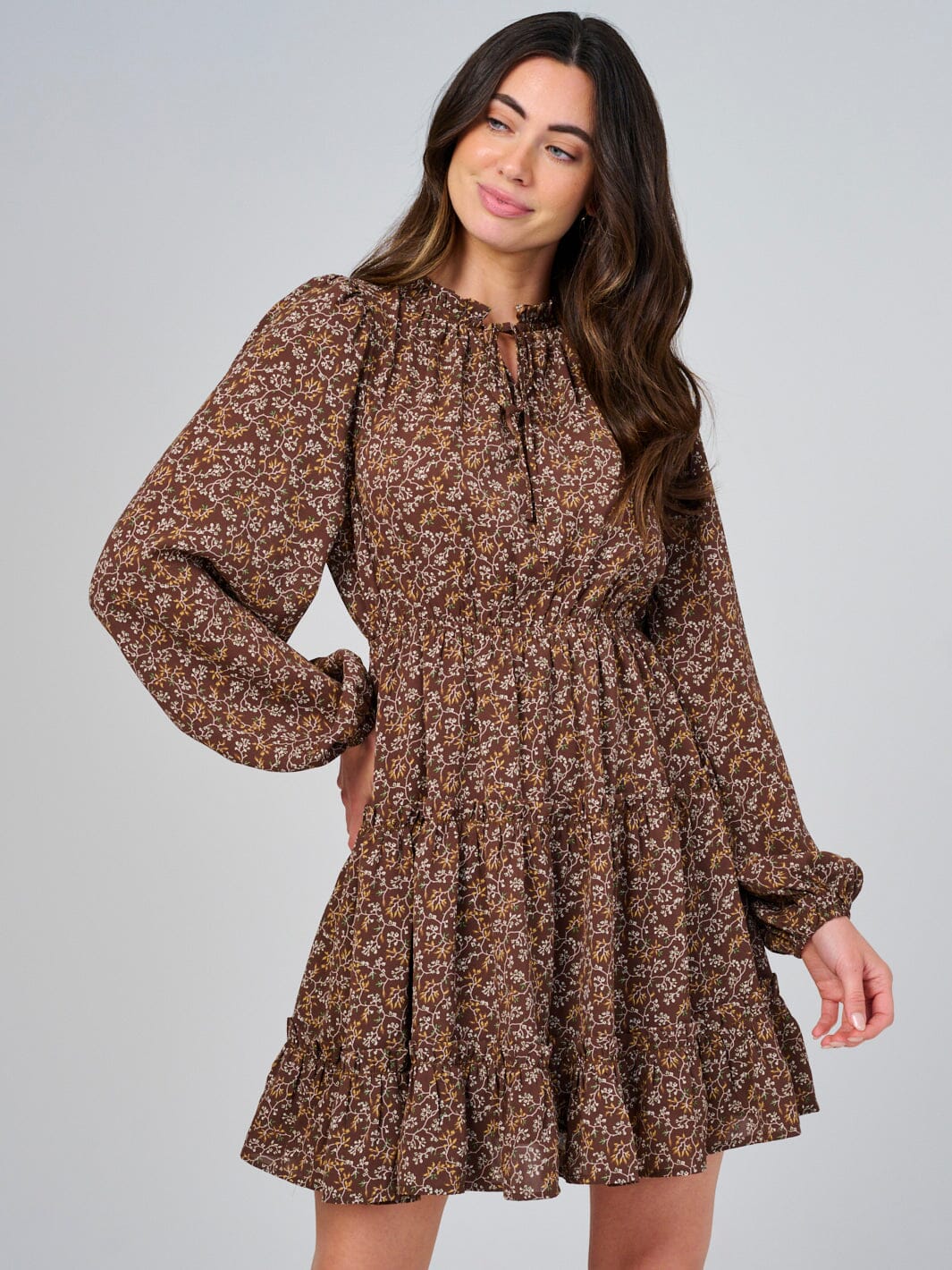 WOMEN'S LONG SLEEVE ELASTIC WAIST V-NECK FLORAL TIERED MINI DRESS