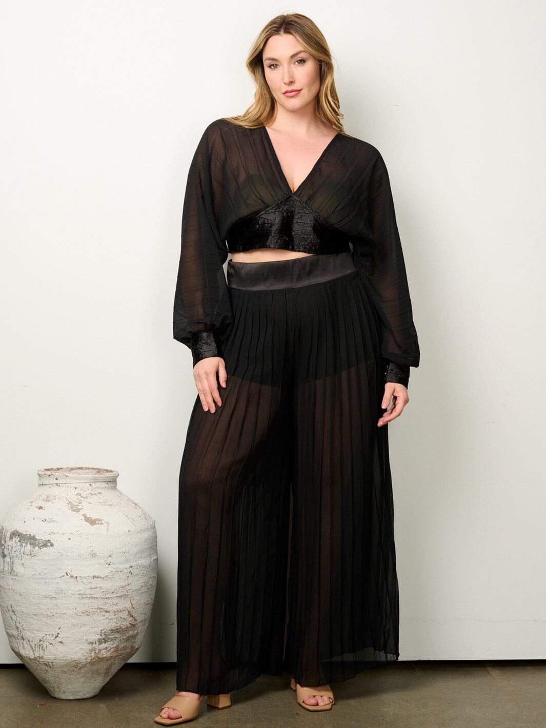 PLUS SIZE LONG SLEEVE CROP TOP & WIDE LEG PLEATED PANTS 2PC. SET