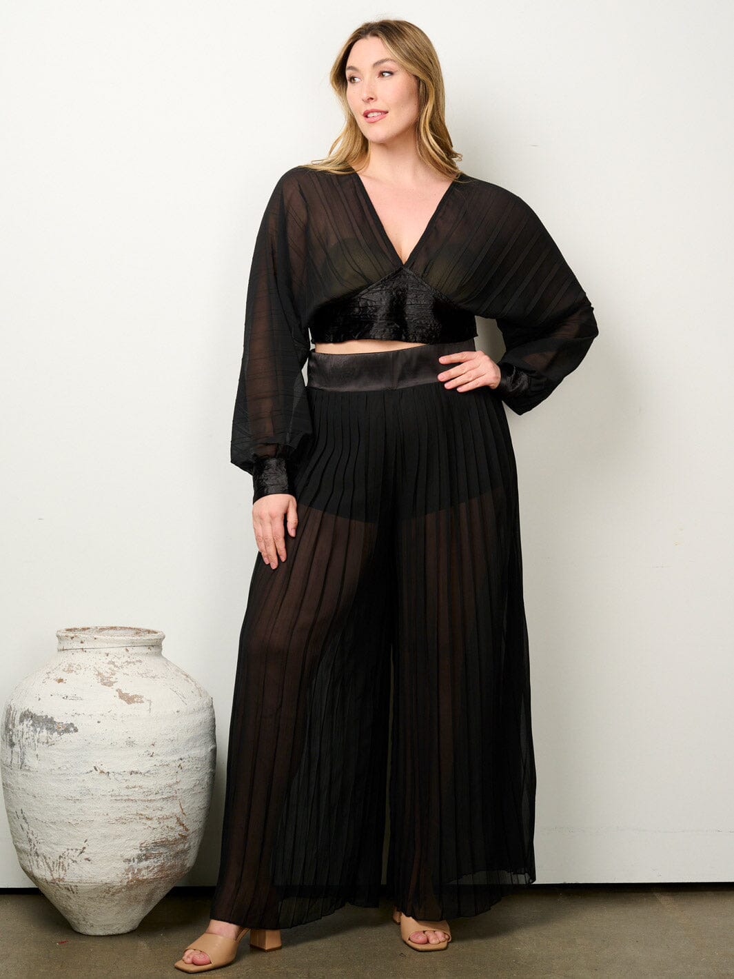 PLUS SIZE LONG SLEEVE CROP TOP & WIDE LEG PLEATED PANTS 2PC. SET