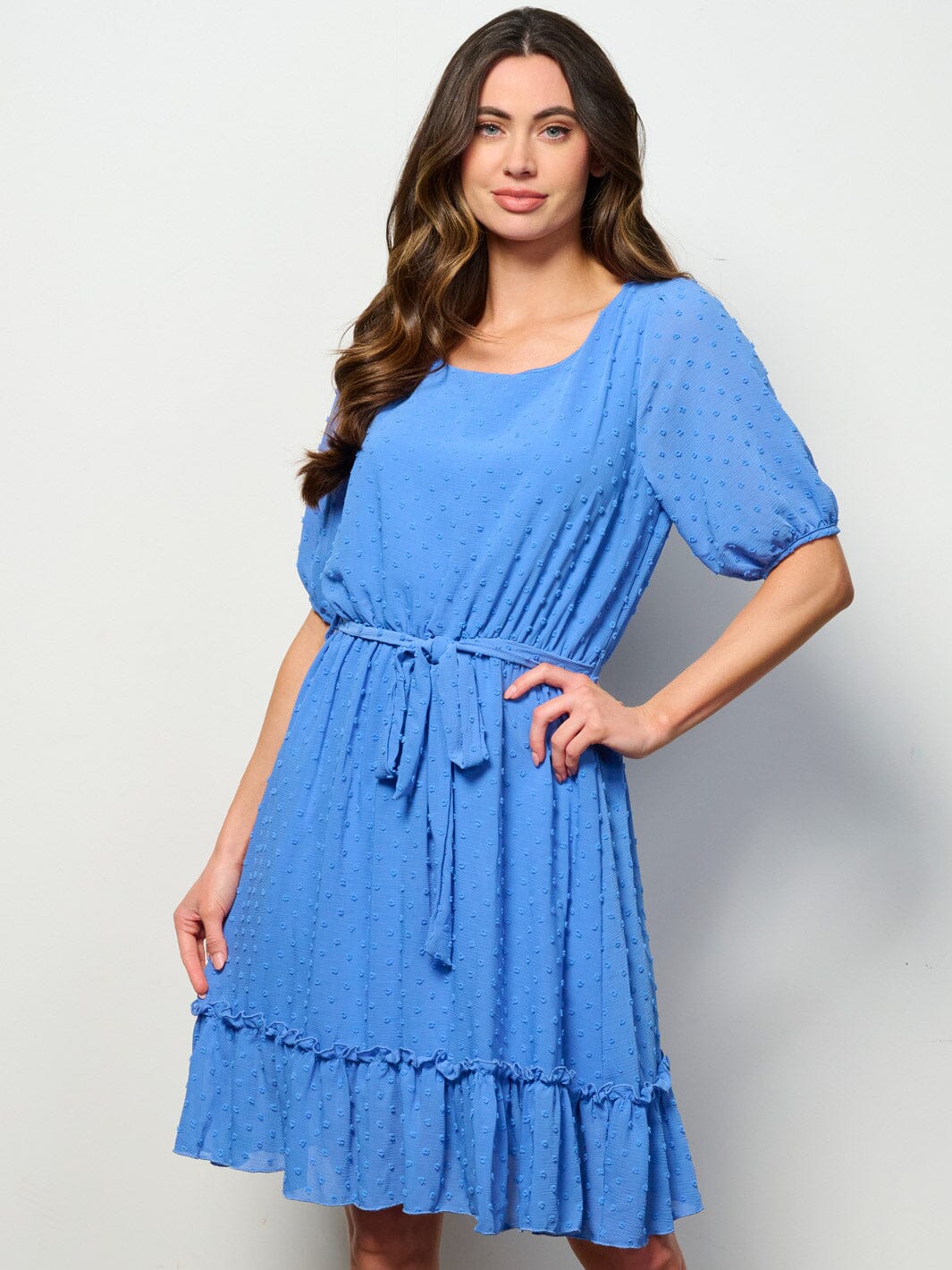 WOMEN'S SHORT SLEEVE SELF TIE SWISS DETAILED MINI DRESS