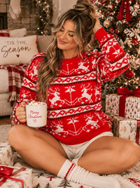 WOMEN'S LONG SLEEVE HOLIDAY GRAPHIC PULLOVER SWEATER