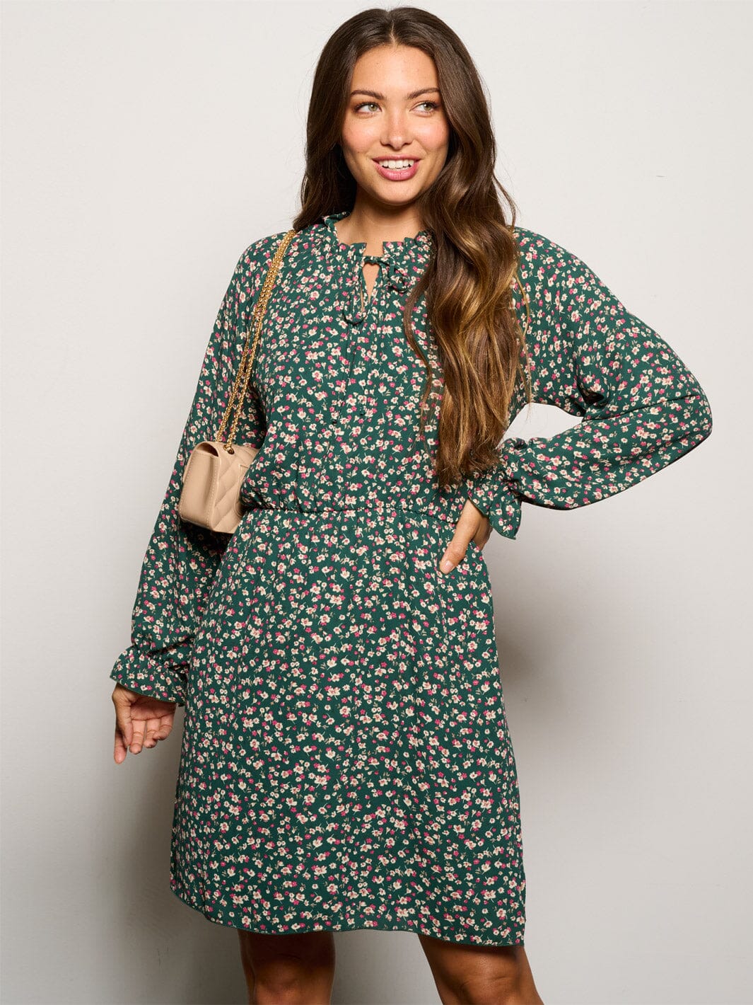 WOMEN'S LONG SLEEVE V-NECK ELASTIC WAIST FLORAL MINI DRESS