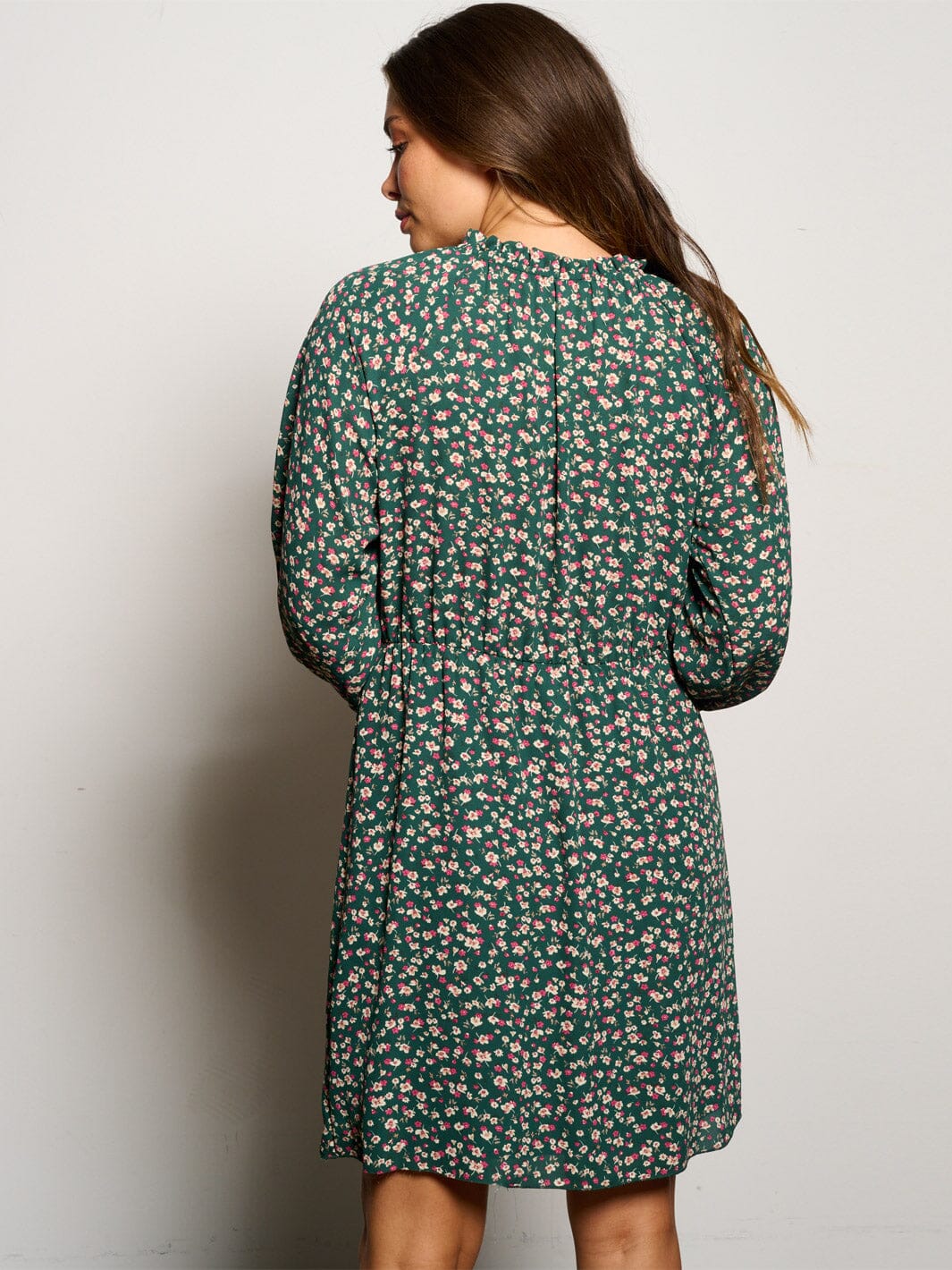 WOMEN'S LONG SLEEVE V-NECK ELASTIC WAIST FLORAL MINI DRESS
