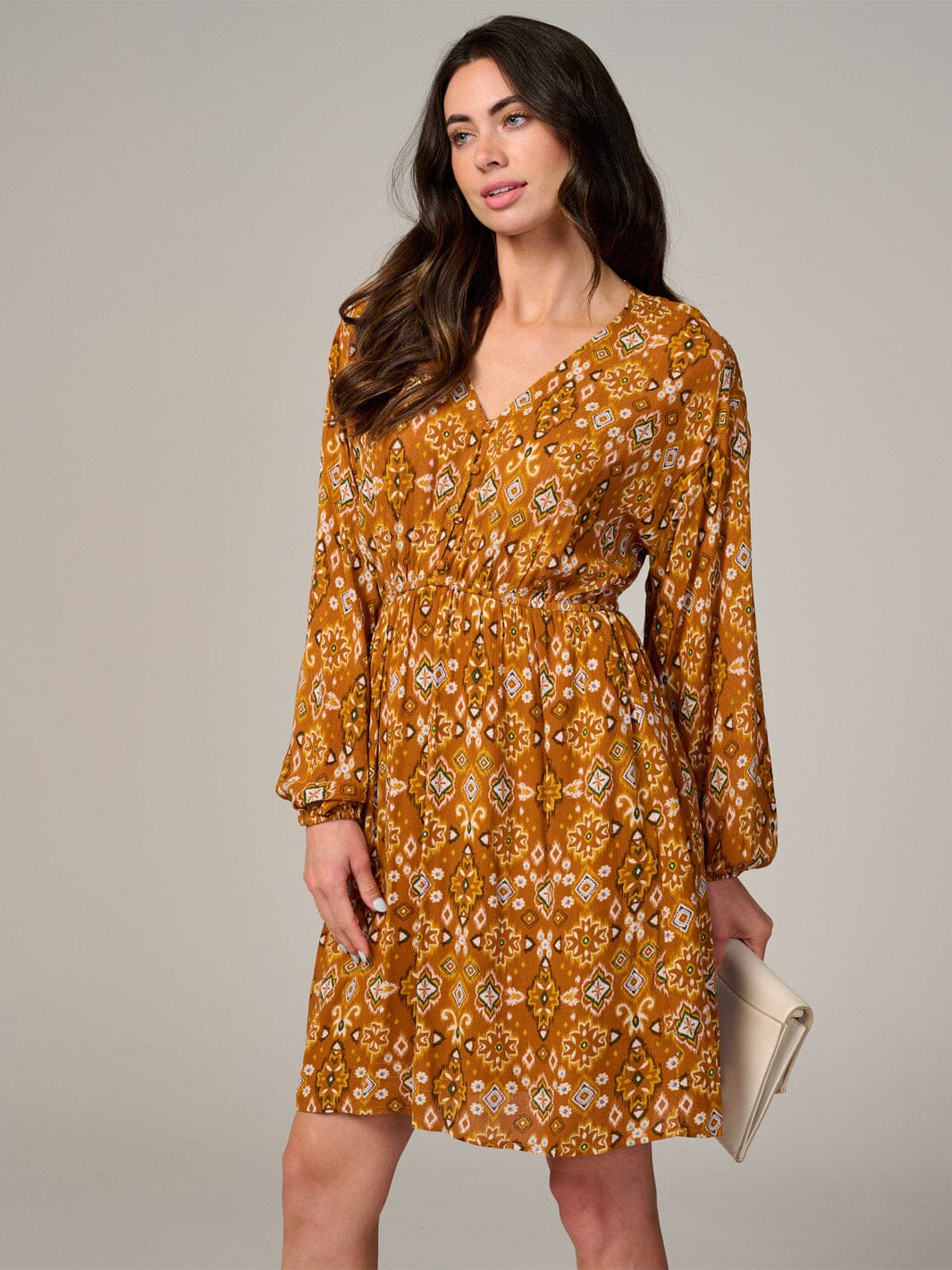 WOMEN'S LONG SLEEVE ELASTIC WAIST V-NECK MULTI PRINT MINI DRESS