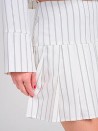 WOMEN'S ZIP UP PLEATED FIT & FLARE STRIPES MINI SKIRT