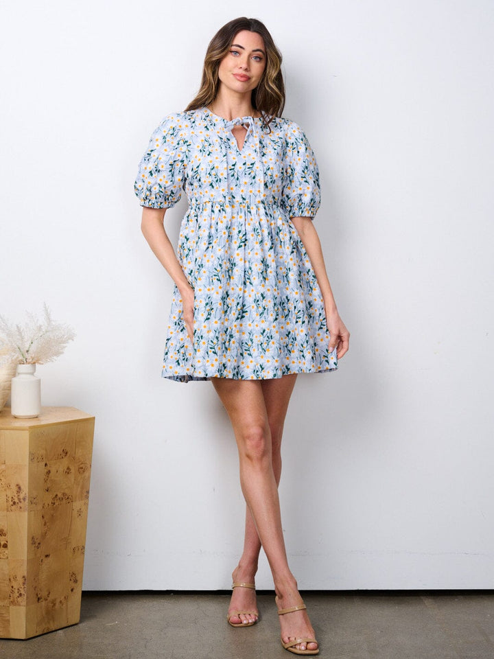 WOMEN'S SHORT PUFF SLEEVE BABYDOLL FLORAL EMBROIDERY MINI DRESS