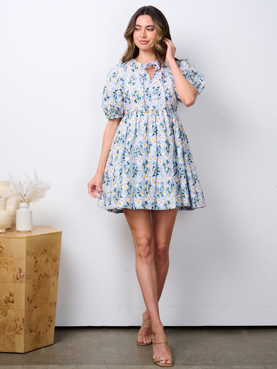 WOMEN'S SHORT PUFF SLEEVE BABYDOLL FLORAL EMBROIDERY MINI DRESS