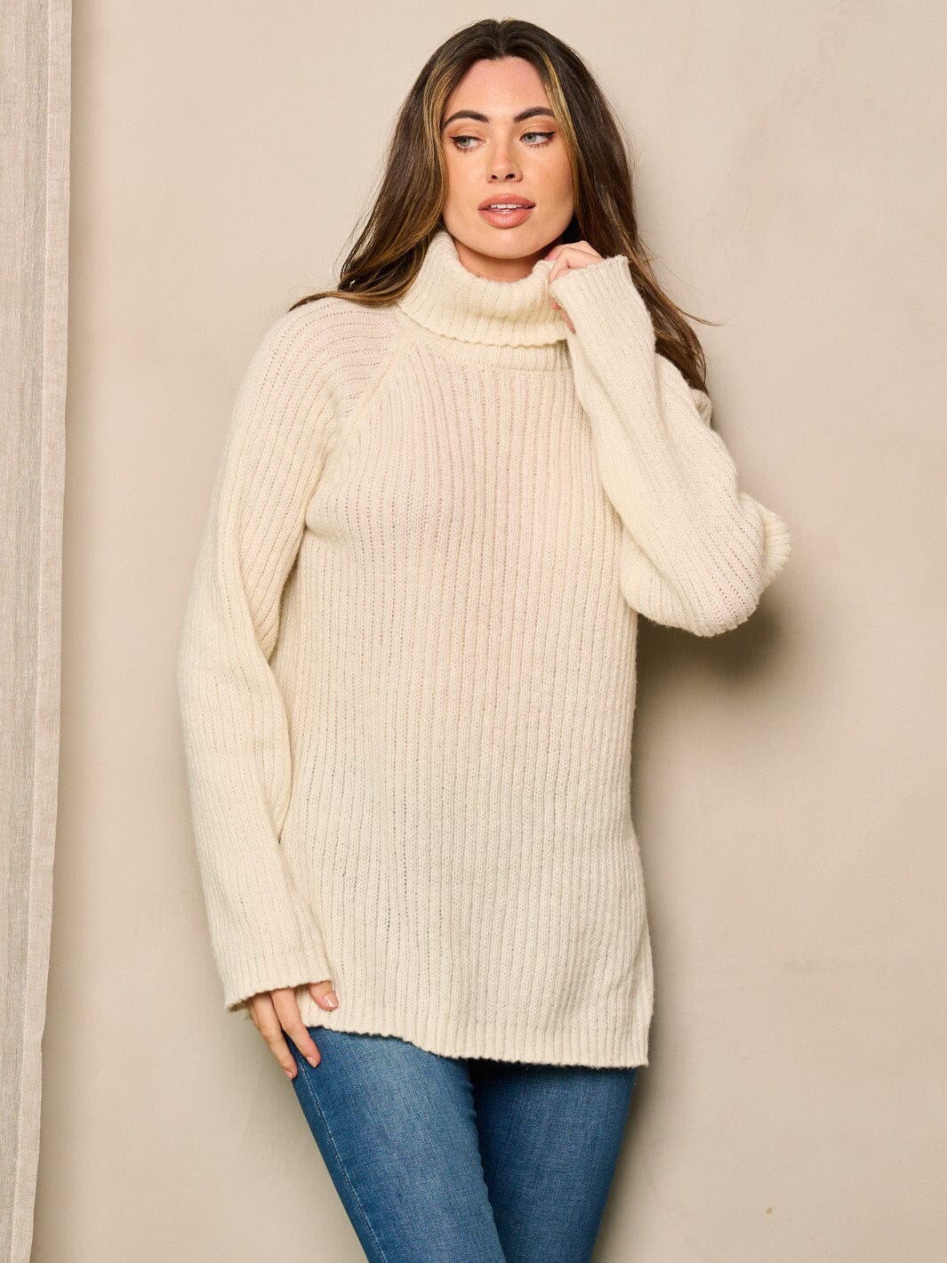 WOMEN'S LONG SLEEVE TURTLE NECK SIDE SLIT PULLOVER SWEATER