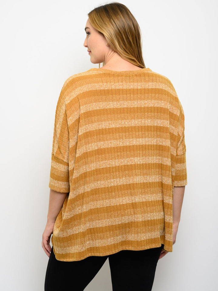 PLUS SIZE STRIPES SHORT SLEEVE TUNIC TOP