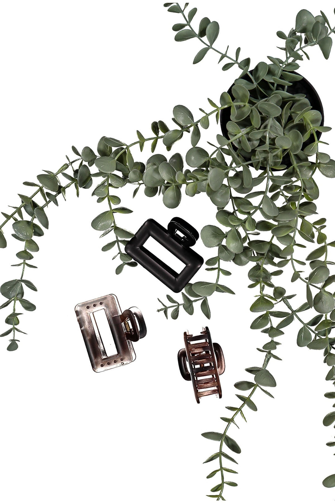 WOMEN'S ASSORTED COLORS HAIR CLIPS