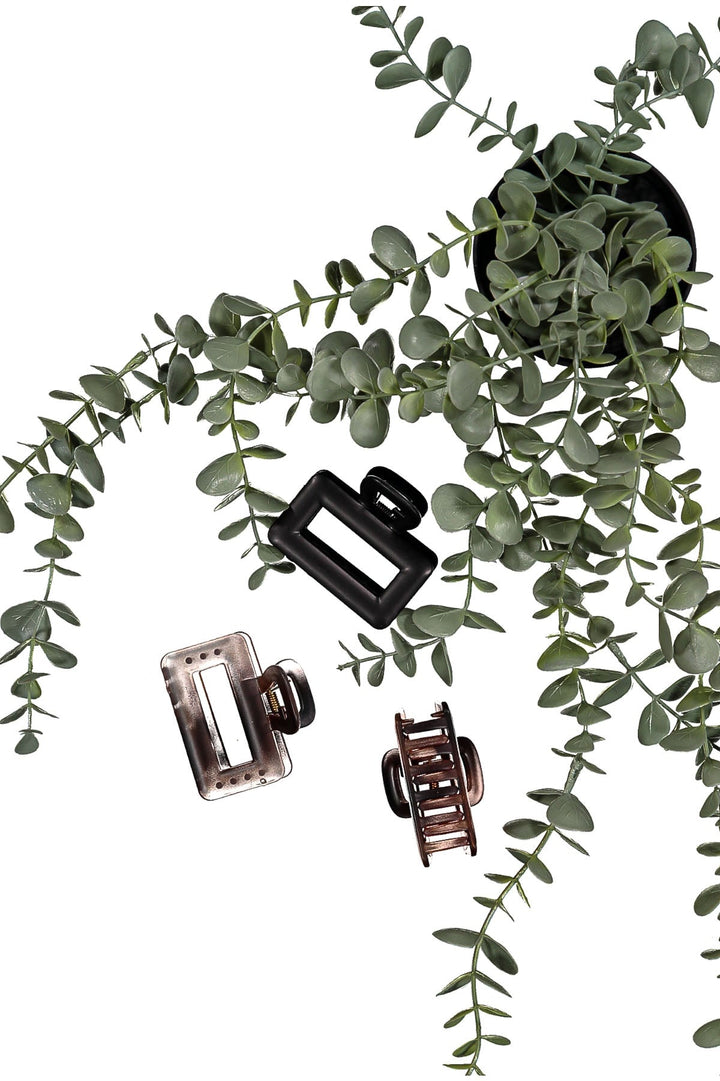 WOMEN'S ASSORTED COLORS HAIR CLIPS